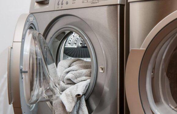 Asciugatrice o lavasciuga: qual è la scelta migliore?